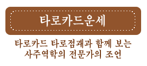 �̷������ �����ǿ